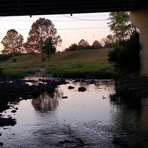 Meet your Posher, Jayme